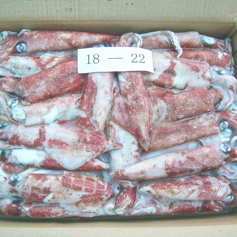 application-LongSheng High-quality squid flower for hotel-LongSheng-img