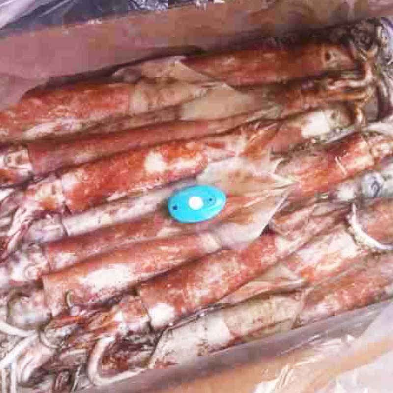 LongSheng wholesale squid for sale company for restaurant-2