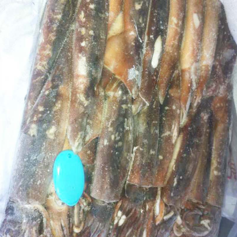 LongSheng Top frozen uncleaned squid for hotel-2