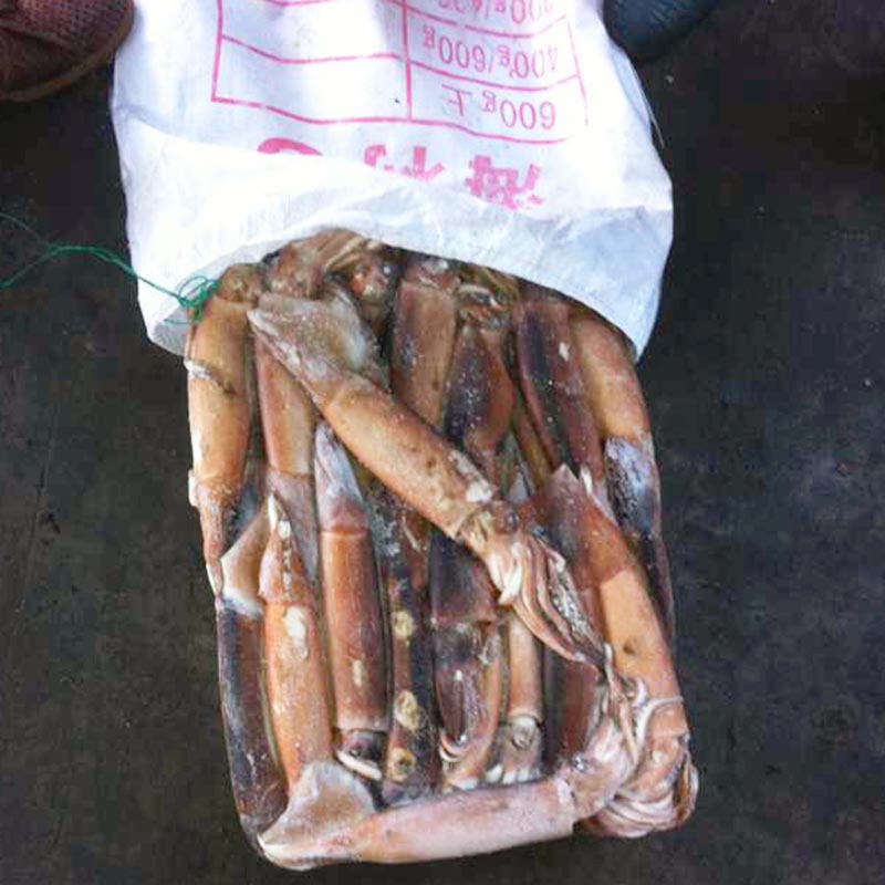 clean frozen baby squid for sale flowersquid Suppliers for cafeteria-1