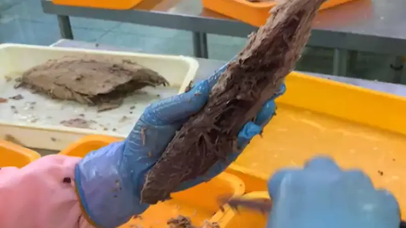 Video of frozen seafood