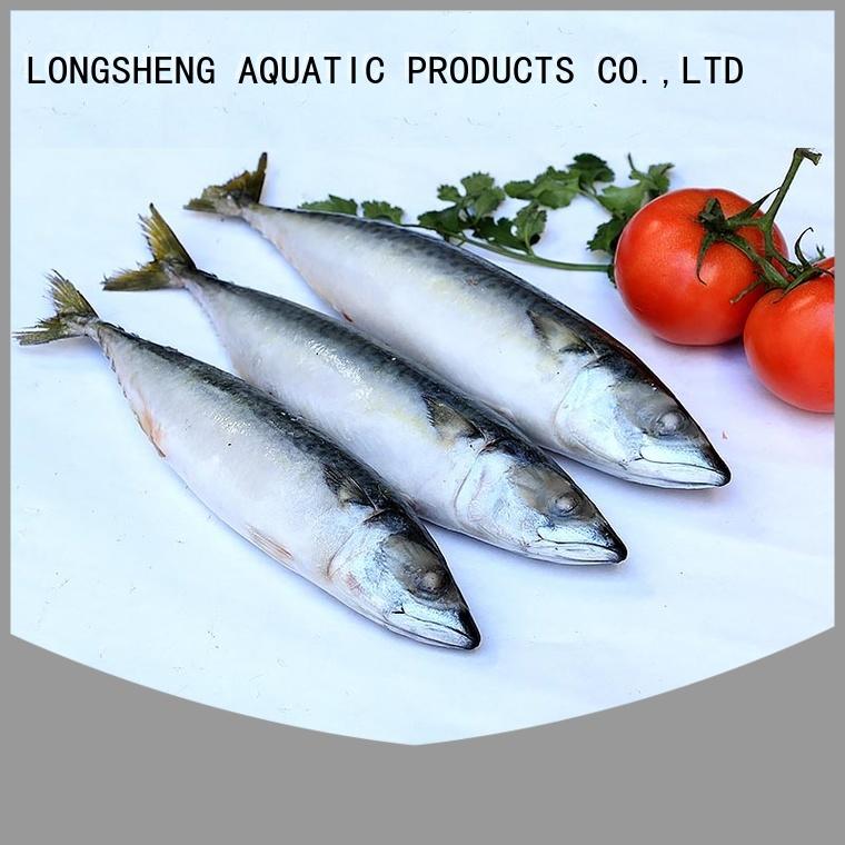 High-quality frozen mackerel hgt fishfrozen for market