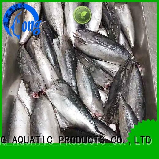 LongSheng High-quality frozen bonito fish Supply for seafood shop