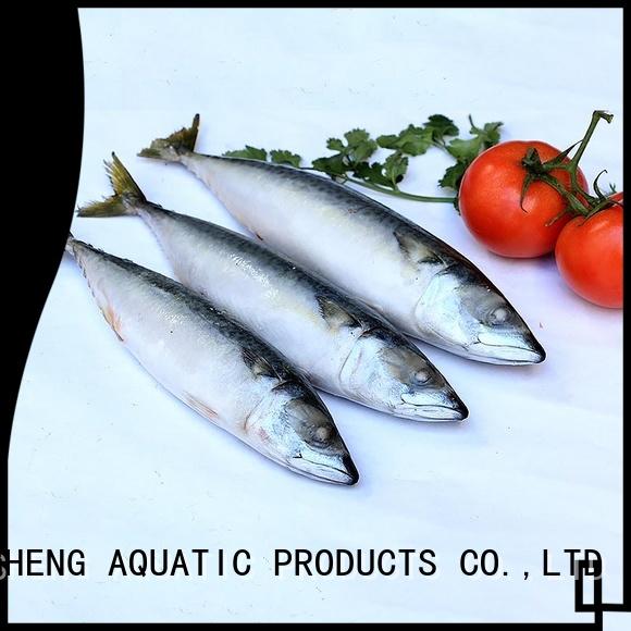 New mackerel for sale mackerel Suppliers for hotel