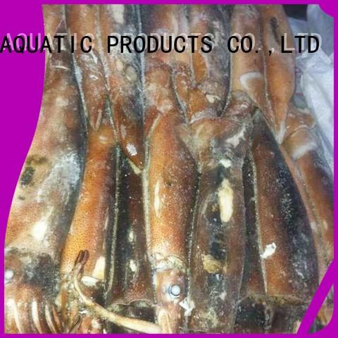 LongSheng fish frozen squid tubes Suppliers for cafe