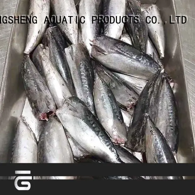 LongSheng hgt frozen bonito whole round Suppliers for supermarket