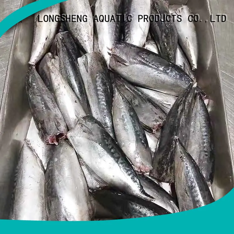 LongSheng delicious frozen seafood bonito fish Supply for market