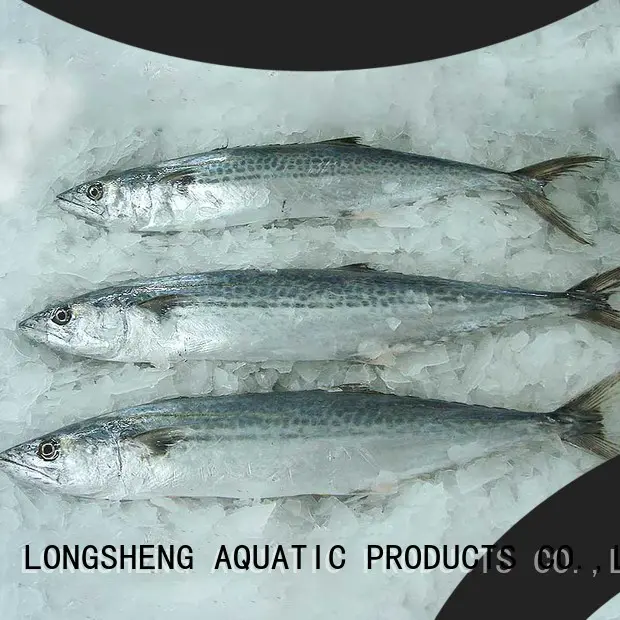 LongSheng High-quality frozen spanish mackerel whole round Supply for market