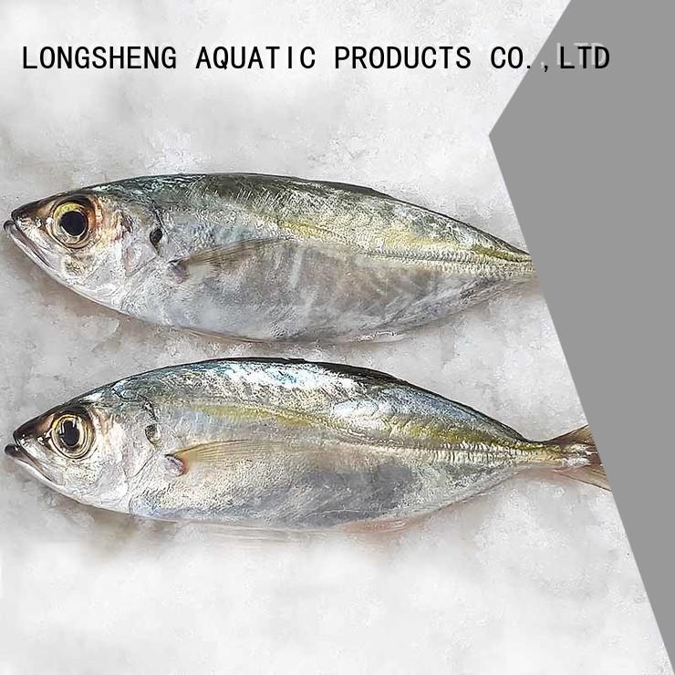 LongSheng frozen whole round horse mackerel Supply for cafe