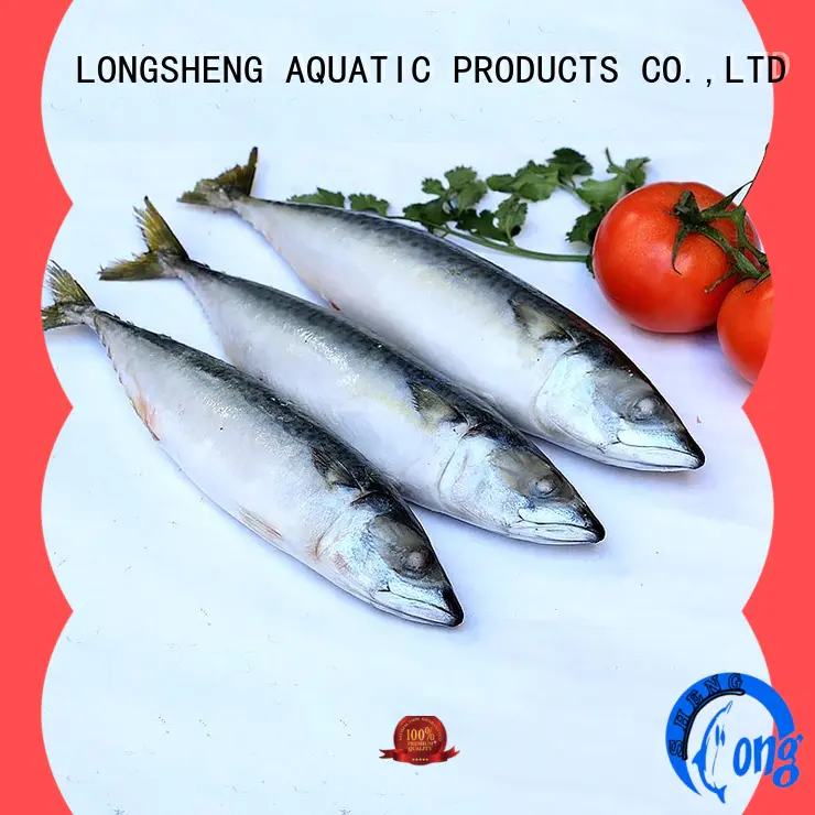 LongSheng whole frozen mackerel fillet fillets