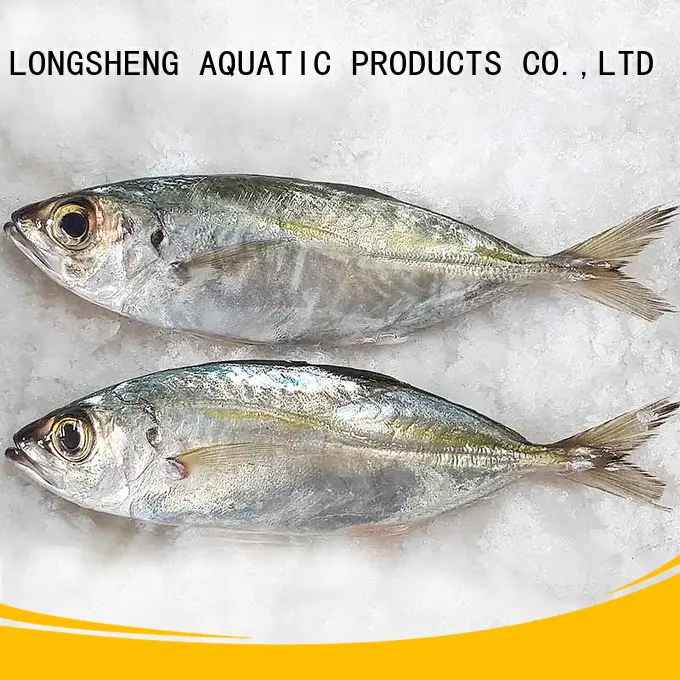 LongSheng Best Frozen Horse mackerel whole round for business for restaurant