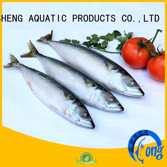 LongSheng good quality frozen mackerel fillets supplier for supermarket