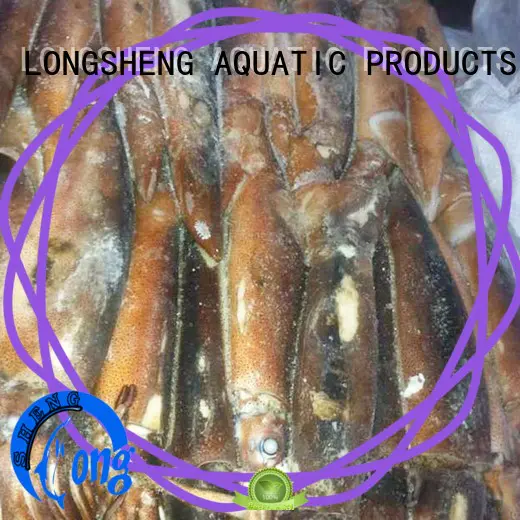 LongSheng clean frozen squid illex company for cafe