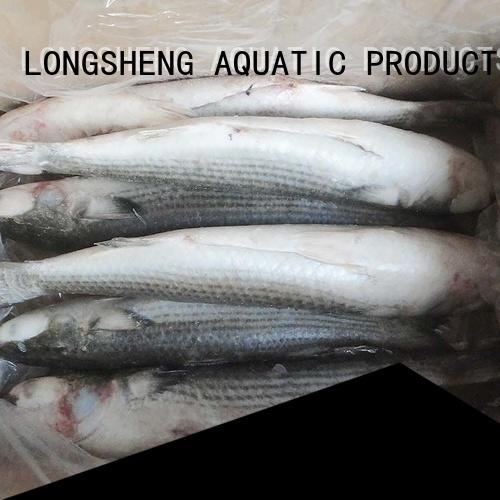 LongSheng fillet frozen seafood supplier factory for market