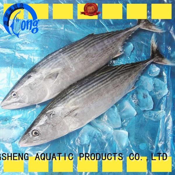 professional bonito tuna fish manufacturers for lunch