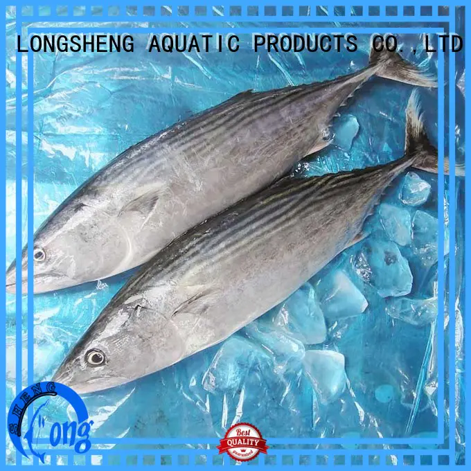 clean frozen bonito tuna sale factory for family LongSheng