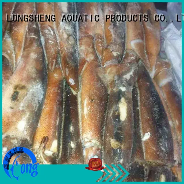 LongSheng whole frozen squid for sale manufacturer for hotel