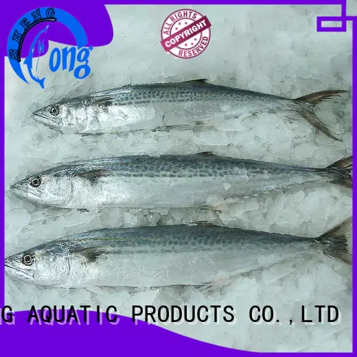 LongSheng Custom exporters of frozen fish Suppliers for supermarket