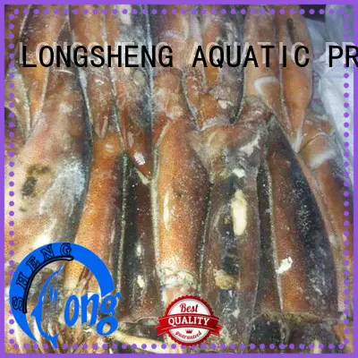 High-quality squid for sale fish Suppliers for restaurant