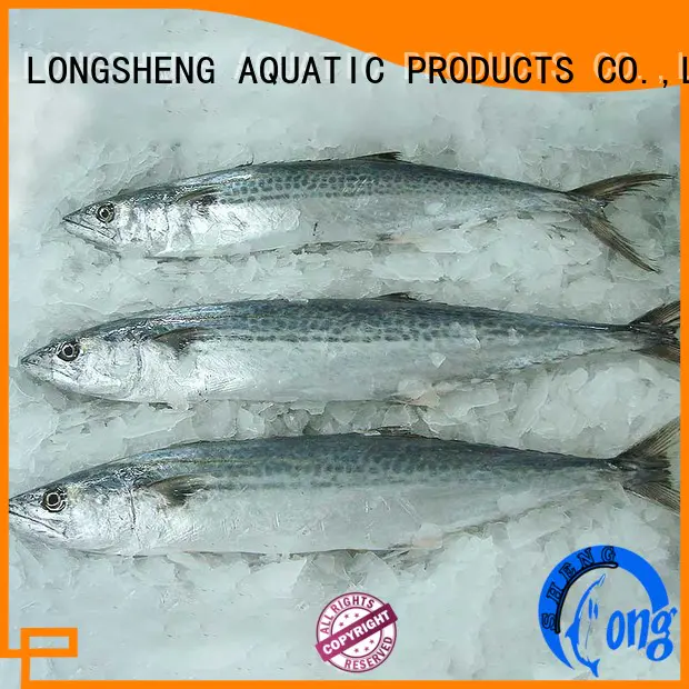 LongSheng frozen at sea fish prices for market