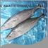 Best frozen skipjack tuna fish sarda company for dinner