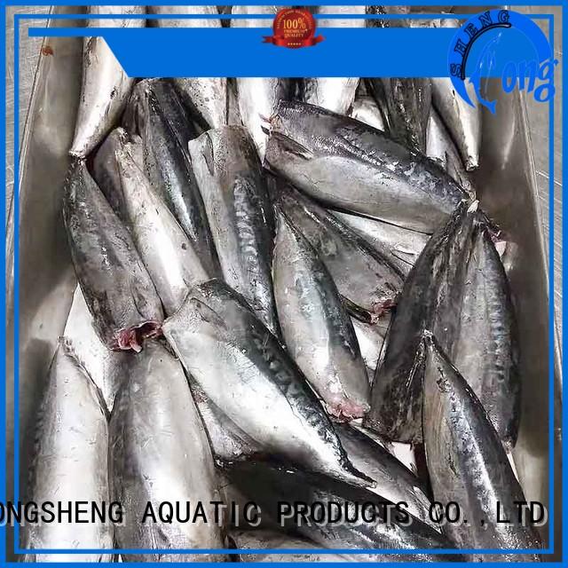 frozen bonito fish price bonito for business for market