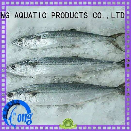 LongSheng technical frozen spanish mackerel for sale company for market