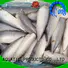 Wholesale frozen whole mackerel mackerel for hotel