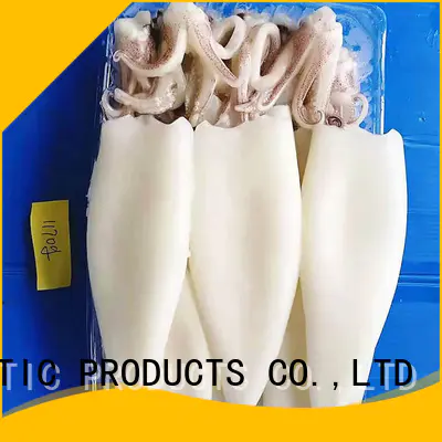 LongSheng Latest frozen whole uncleaned squid for sale Suppliers for cafe