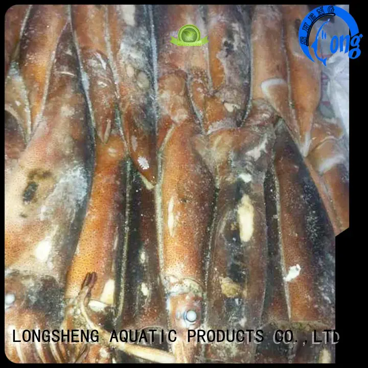 tube frozen loligo squid delivery for restaurant LongSheng