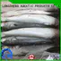 Wholesale frozen seafood industry frozen for hotel