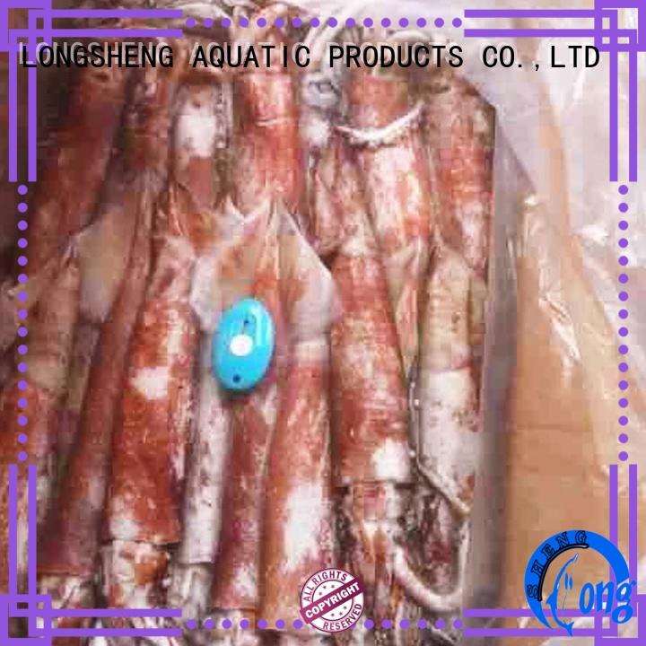healthy frozen uncleaned squid round Supply for hotel