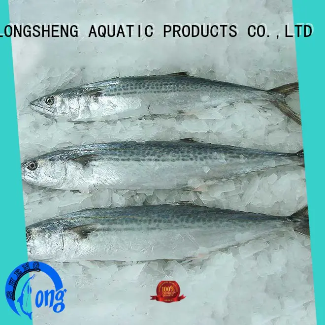 LongSheng technical spanish mackerel fish price frozen for supermarket