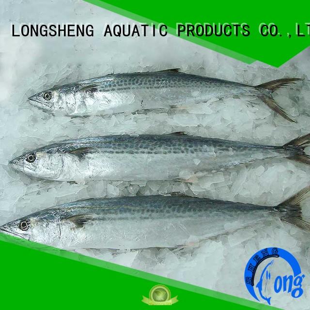 spanish mackerel fish price mackerel for seafood shop LongSheng