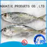Horse mackerel frozen fish whole round (Trachurus Japonicus)