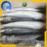 frozen fish manufacturers mullet for supermarket LongSheng