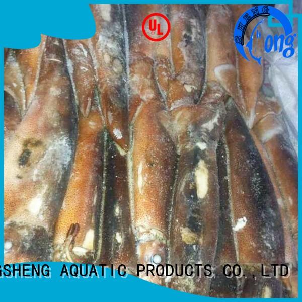 LongSheng cuttlefish frozen squid for sale delivery for hotel