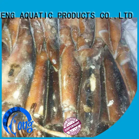 clean frozen squid tubes chinese manufacturer for hotel
