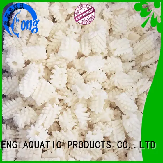 LongSheng clean frozen squid for sale delivery for hotel