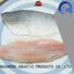 mullet frozen fish wholesale online for market LongSheng