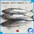 technical fish frozen hgt supplier for seafood shop