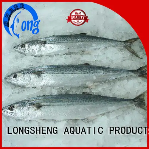 LongSheng sale frozen spanish mackerel for sale Suppliers for seafood shop