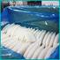 wholesale frozen squid rings loligo manufacturers for hotel