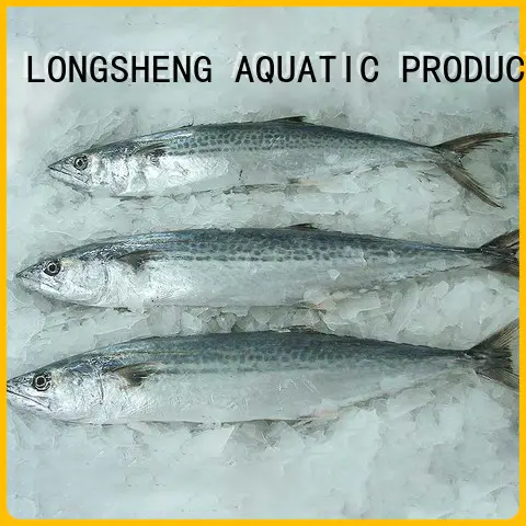 LongSheng whole frozen fish spanish mackerel Supply for seafood market