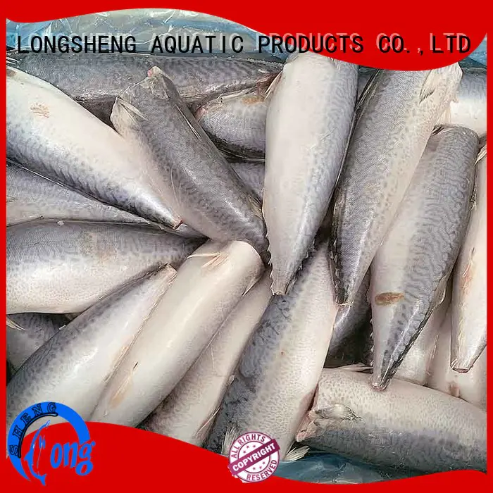 LongSheng tasty frozen mackerel fish for sale