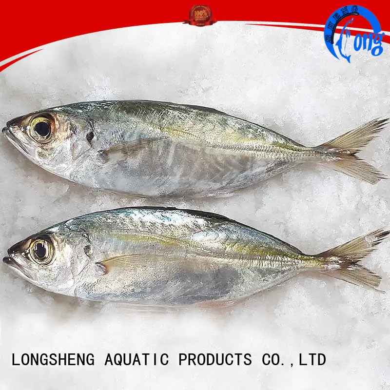 LongSheng mackerel frozen fish horse mackerel company for hotel