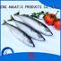 Top frozen mackerel fish for sale frozen company for market