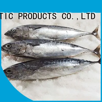 LongSheng frozen bonito fish price Suppliers for seafood shop