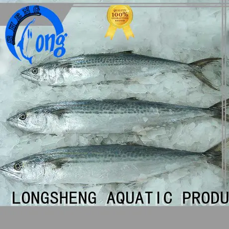 frozen spanish mackerel roundfrozen for seafood shop LongSheng