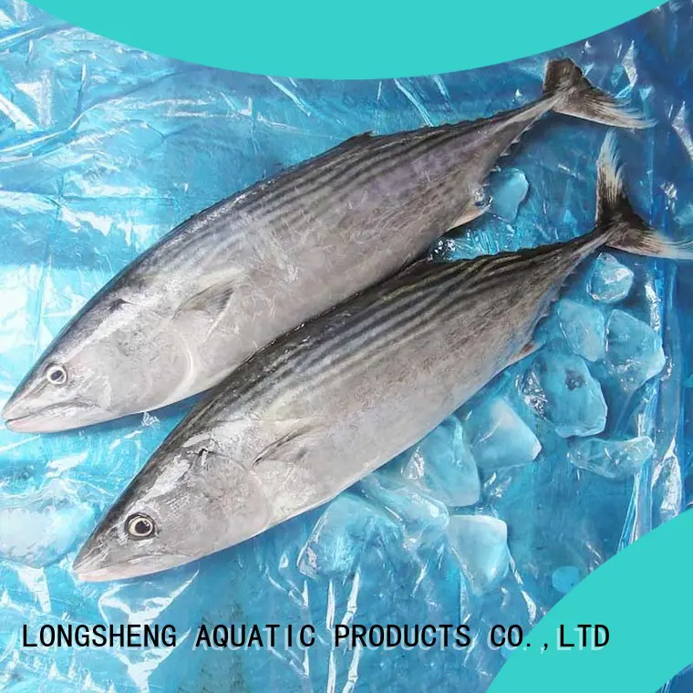 Best frozen tuna fish price bonito for business for lunch